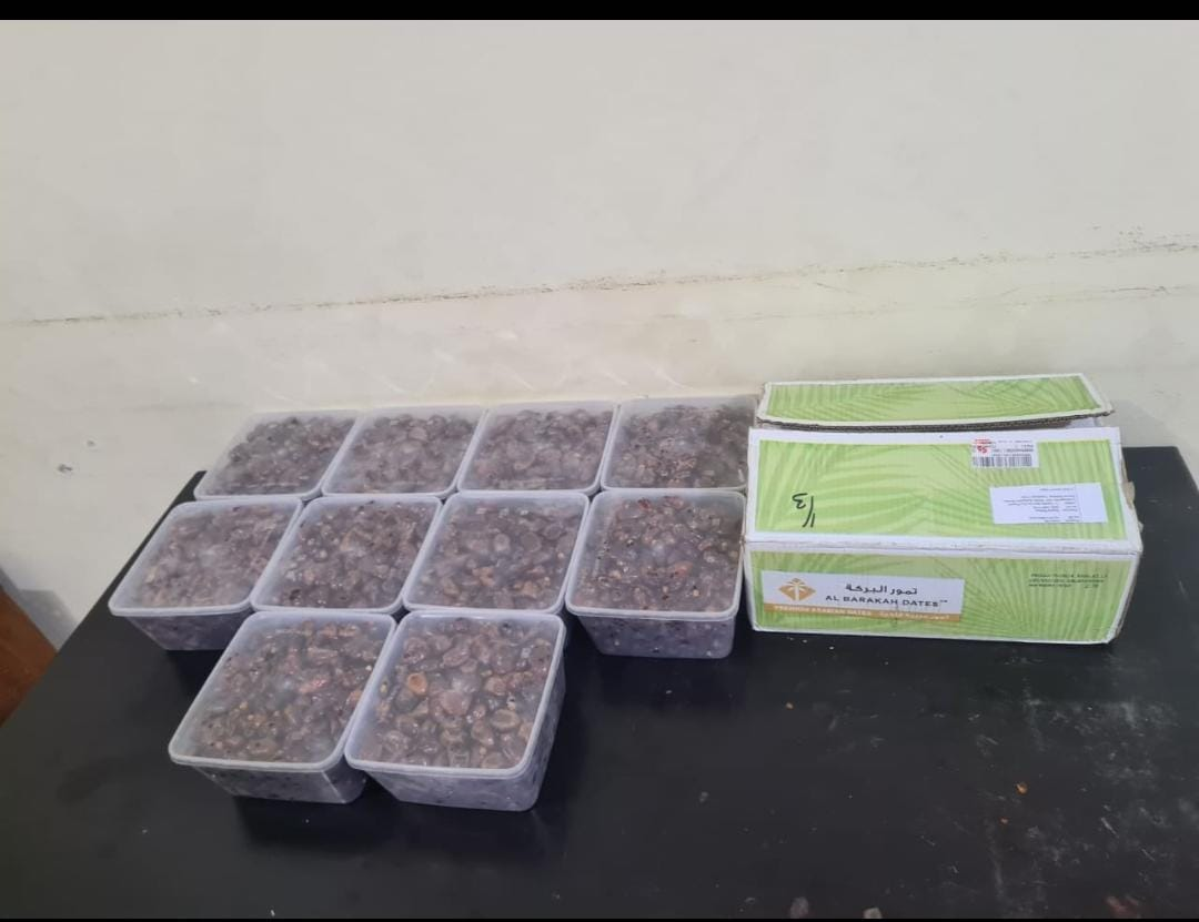 مشروعان لتوزيع التمور